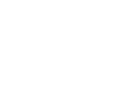 Introduction Icon